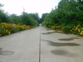 公园小路