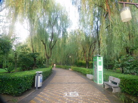 公园小路