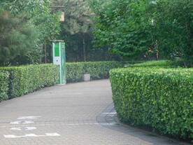 公园小路