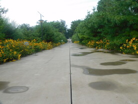 公园小路