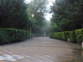 公园小路