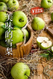 雪梨