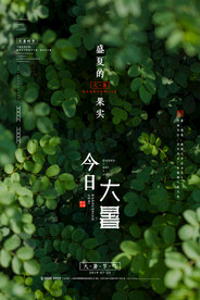 24节气之大暑海报设计图片