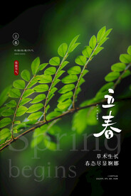 立春