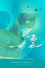 雨水