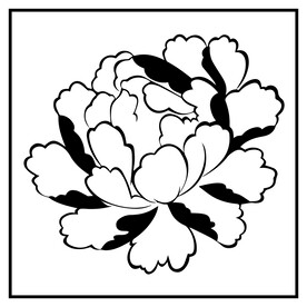 牡丹花