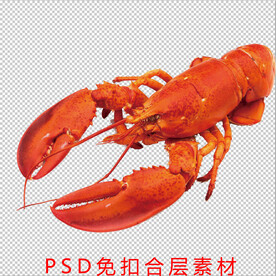 龙虾