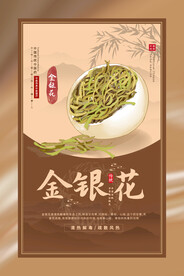 中药金银花