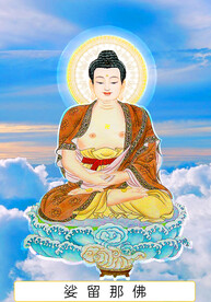 六十九尊 娑留那佛