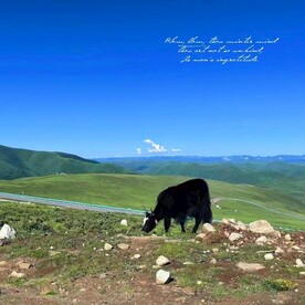 折多山风景图