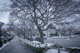冬日函馆街景