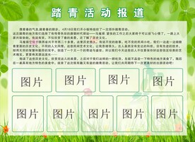 踏青  绿色  