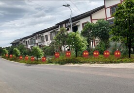 乡村公路