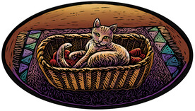 猫窝