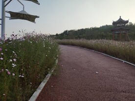 小路