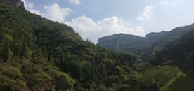 青山不改