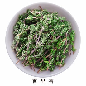 百里香免抠素材
