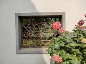 夏日复古徽派建筑窗格和粉色月季