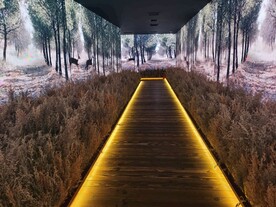 生命自然多媒体四面大屏展览艺术