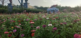 花园