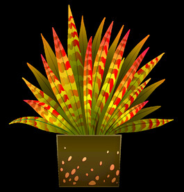 png格式植物花卉手绘素材