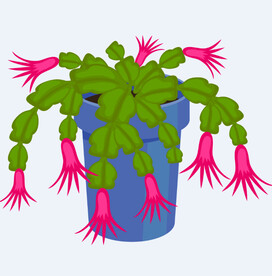 png格式植物花卉手绘素材