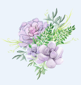 png格式植物花卉手绘素材