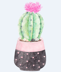 png格式植物花卉手绘素材