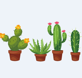 png格式植物花卉手绘素材