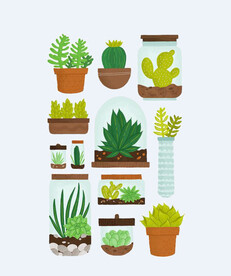 png格式植物花卉手绘素材