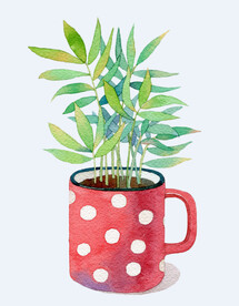 png格式植物花卉手绘素材