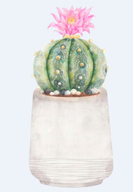 png格式植物花卉手绘素材