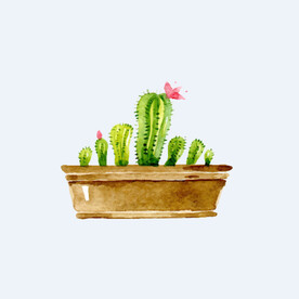 png格式植物花卉手绘素材