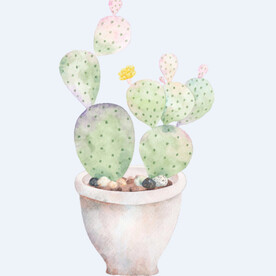 png格式植物花卉手绘素材