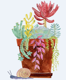 png格式植物花卉手绘素材