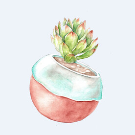 png格式植物花卉手绘素材