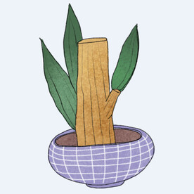 png格式植物花卉手绘素材