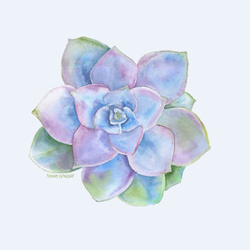 png格式植物花卉手绘素材