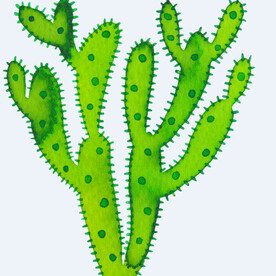 png格式植物花卉手绘素材