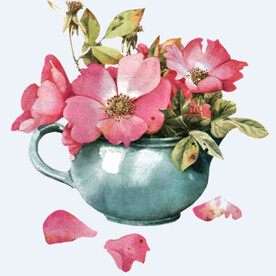 png格式植物花卉手绘素材