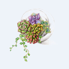 png格式植物花卉手绘素材