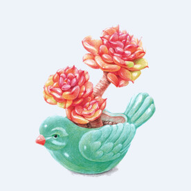 png格式植物花卉手绘素材