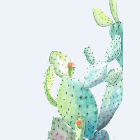 png格式植物花卉手绘素材