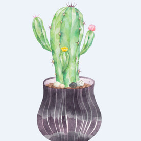 png格式植物花卉手绘素材