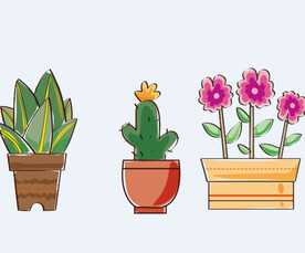 png格式植物花卉手绘素材