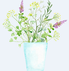 png格式植物花卉手绘素材