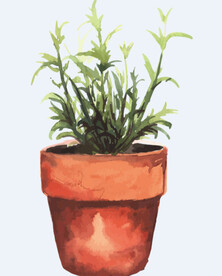 png格式植物花卉手绘素材