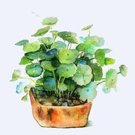 png格式植物花卉手绘素材