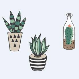 png格式植物花卉手绘素材