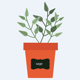 png格式植物花卉手绘素材